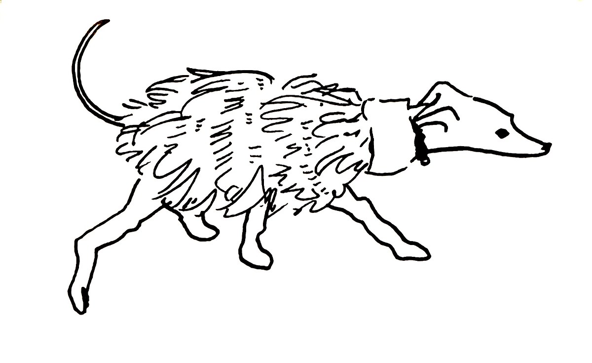 Fluffy Dog — Ink & Pencil