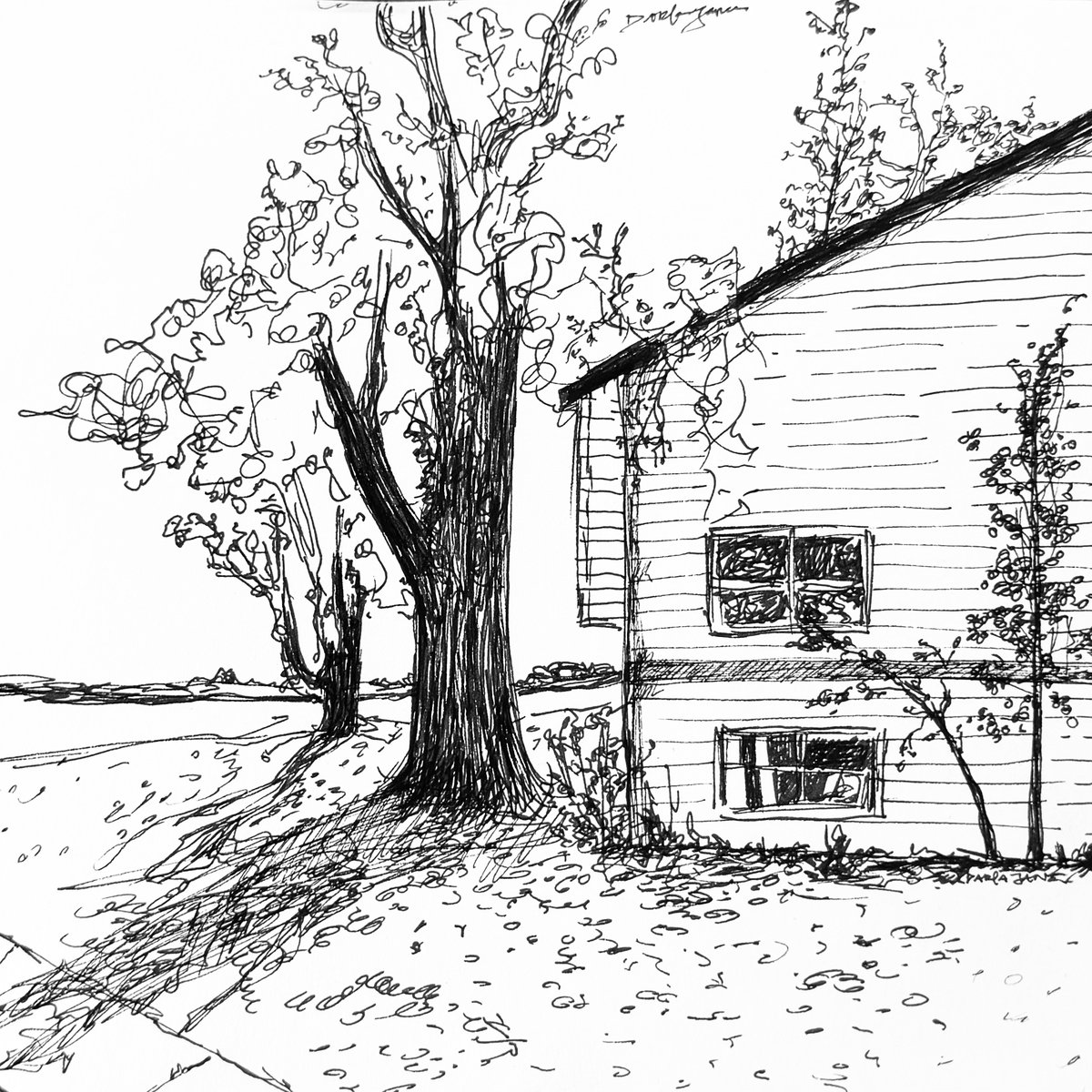 Next Door — Ink & Pencil
