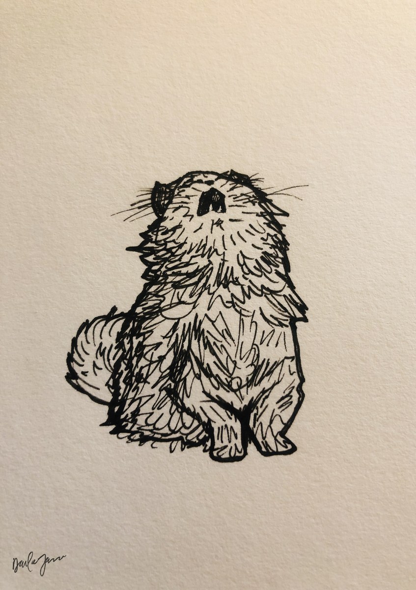 Covid Cat — Ink & Pencil