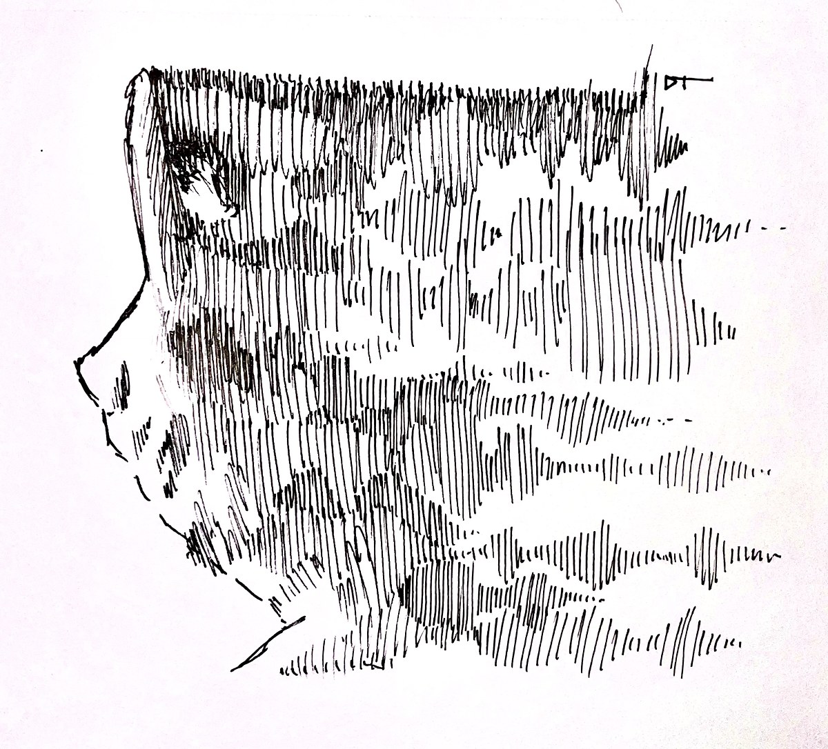 Sketch 23 — Ink & Pencil